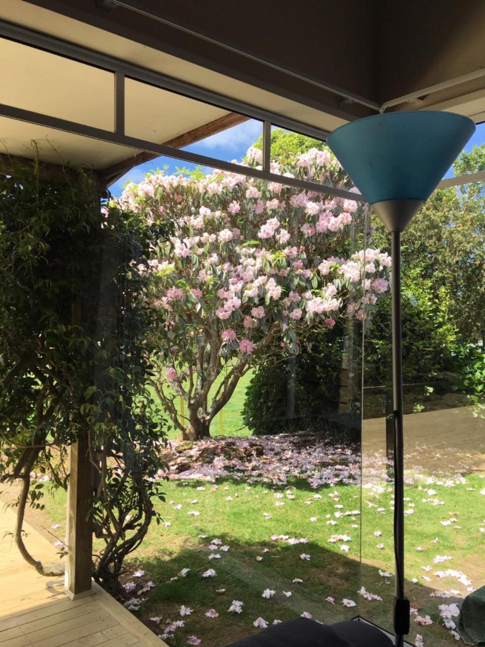 Pukeko Lodge Bnb Νιου Πλύμουθ Εξωτερικό φωτογραφία
